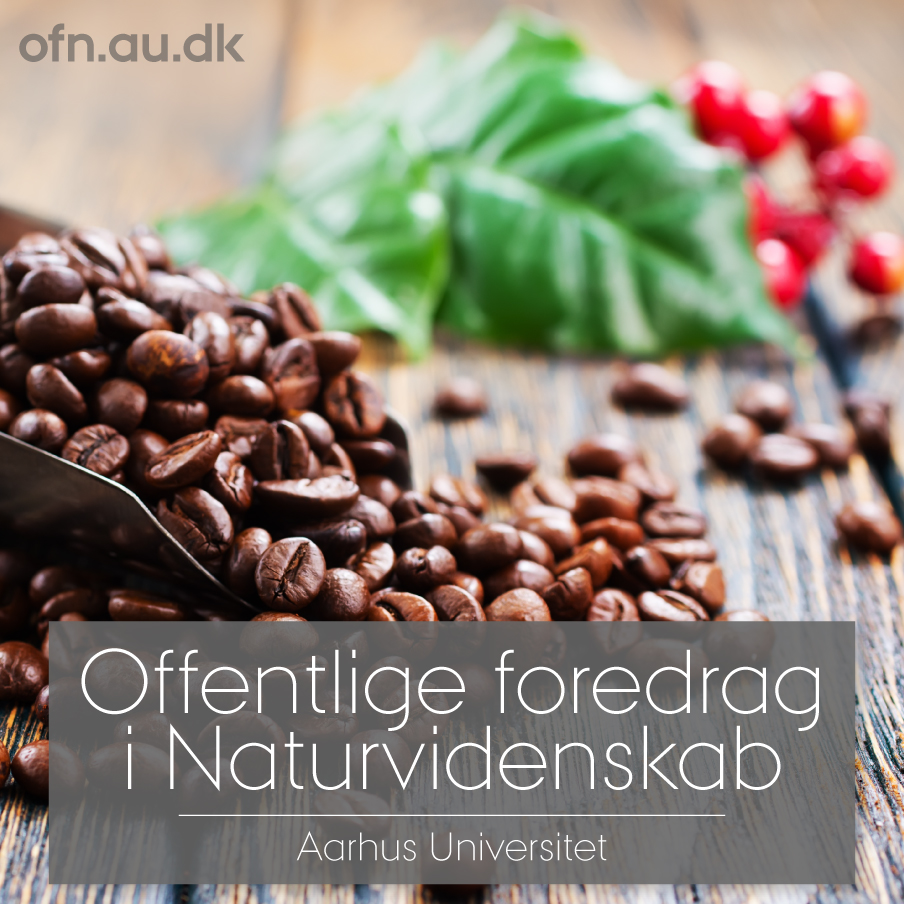 Read more about the article Kaffe-foredrag