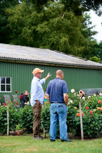 Åben georginehave igen