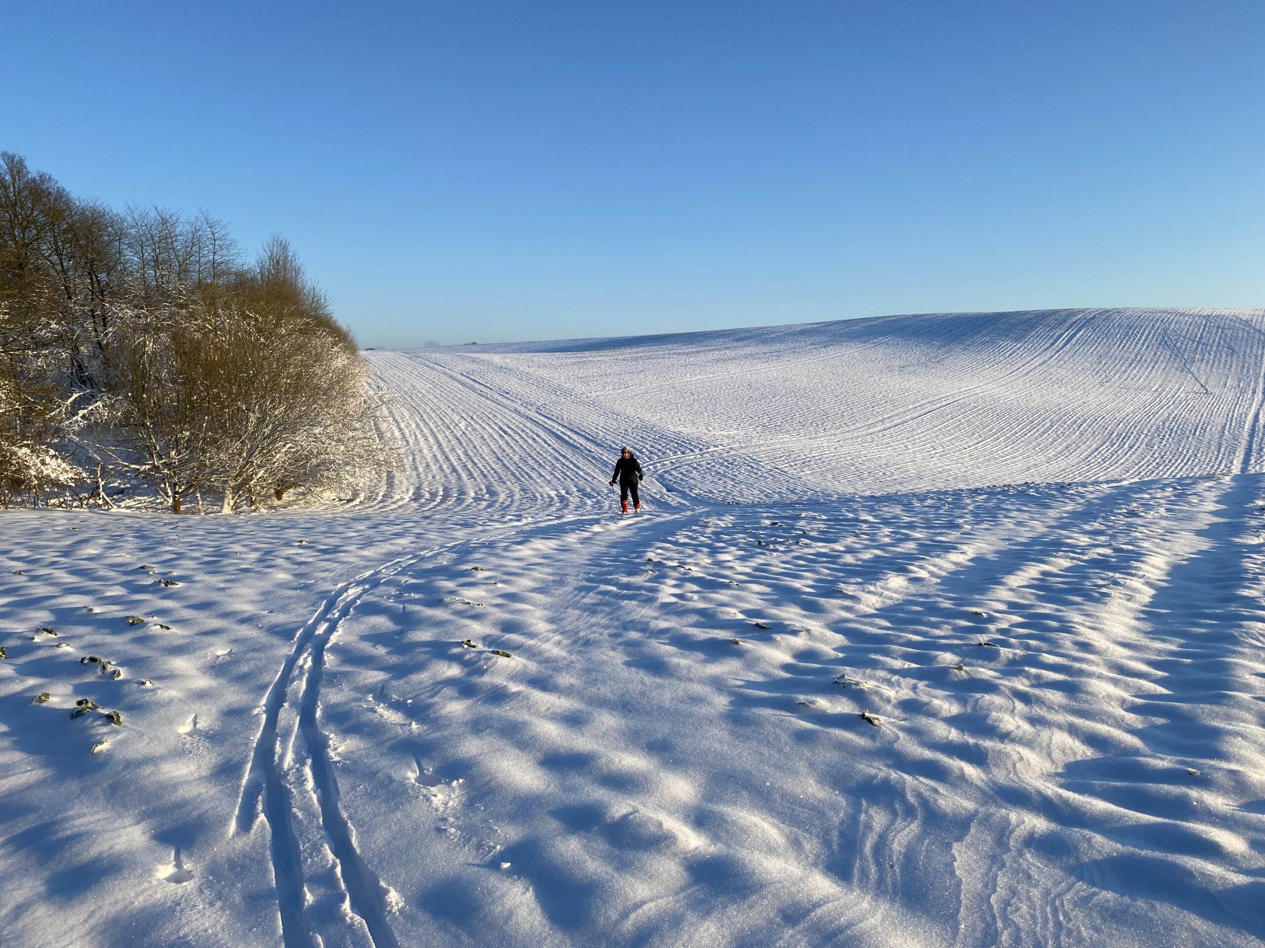 Read more about the article Langrend på sporet