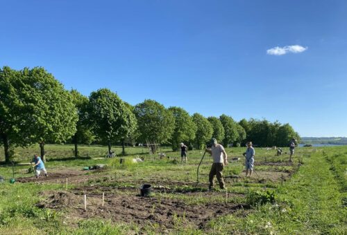 Gang i Alken Have ved Enggården