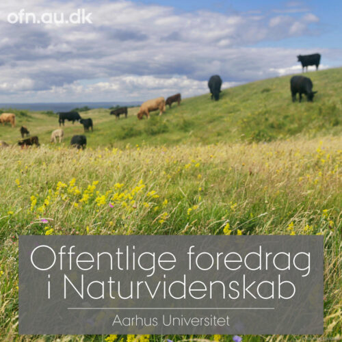 Fortidens og fremtidens vilde natur