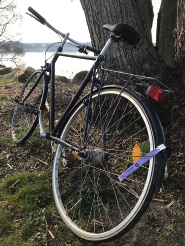 … har du forresten hørt …