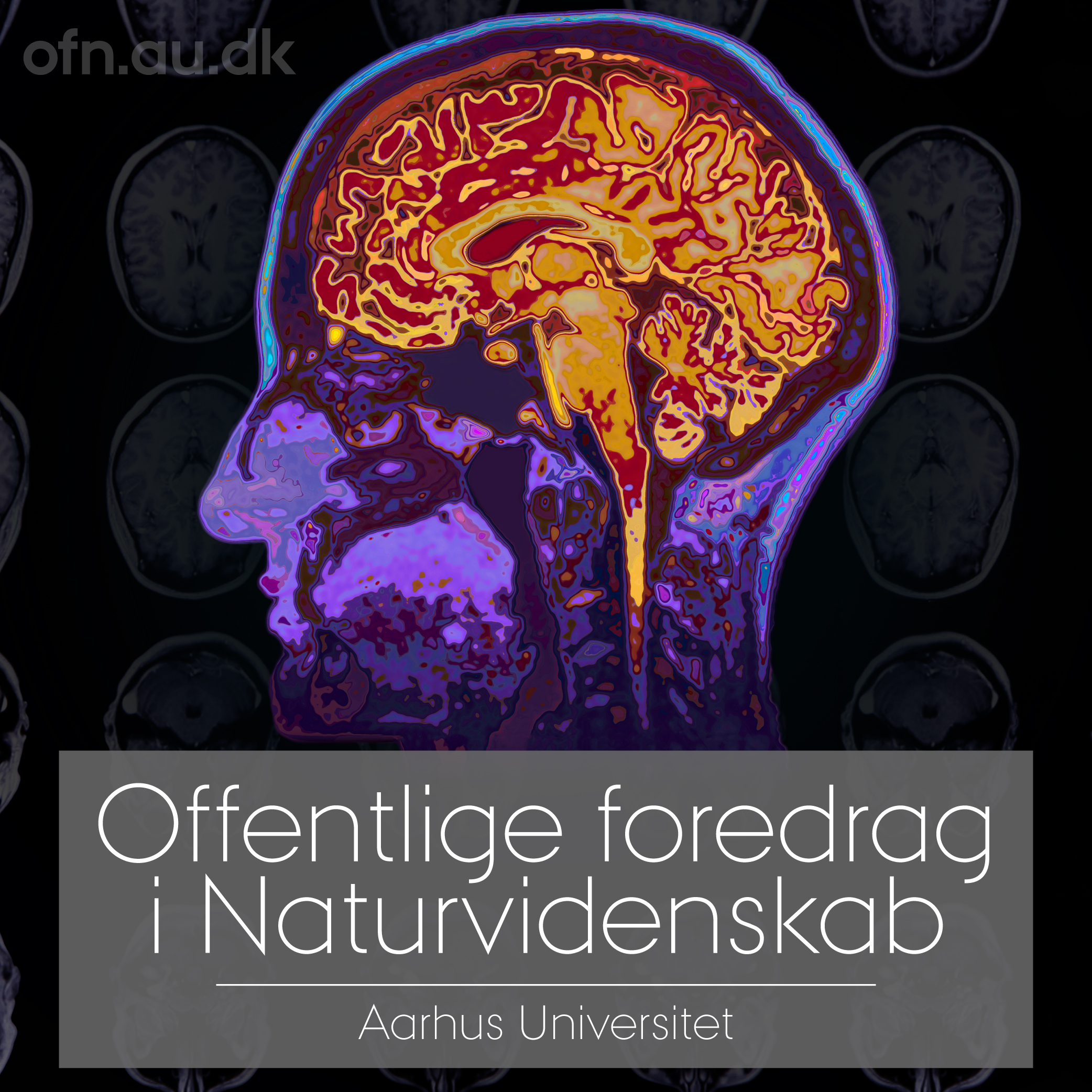 You are currently viewing Den meningsfulde hjerne