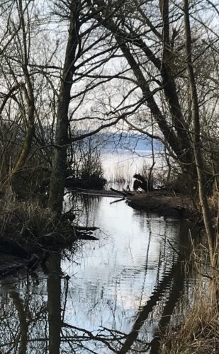 … har du forresten hørt …