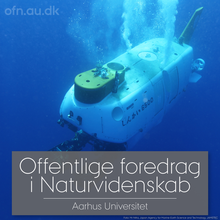 Read more about the article Dybhavet – nyt fra en ukendt verden