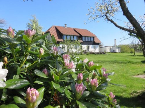 Halvt stuehus på Mossøgård til leje