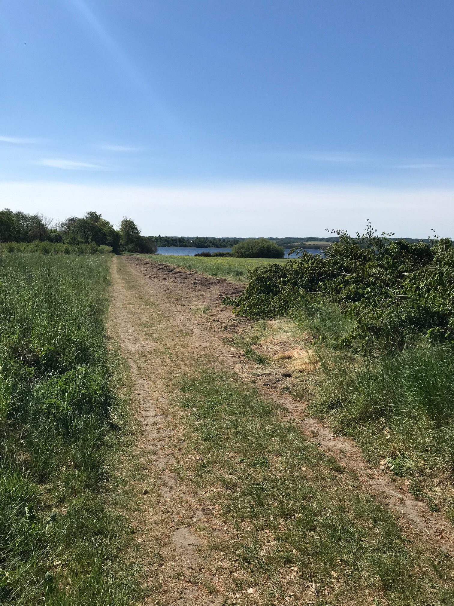 You are currently viewing Eberhard forklarer træfældning langs stien til Smedens Strand