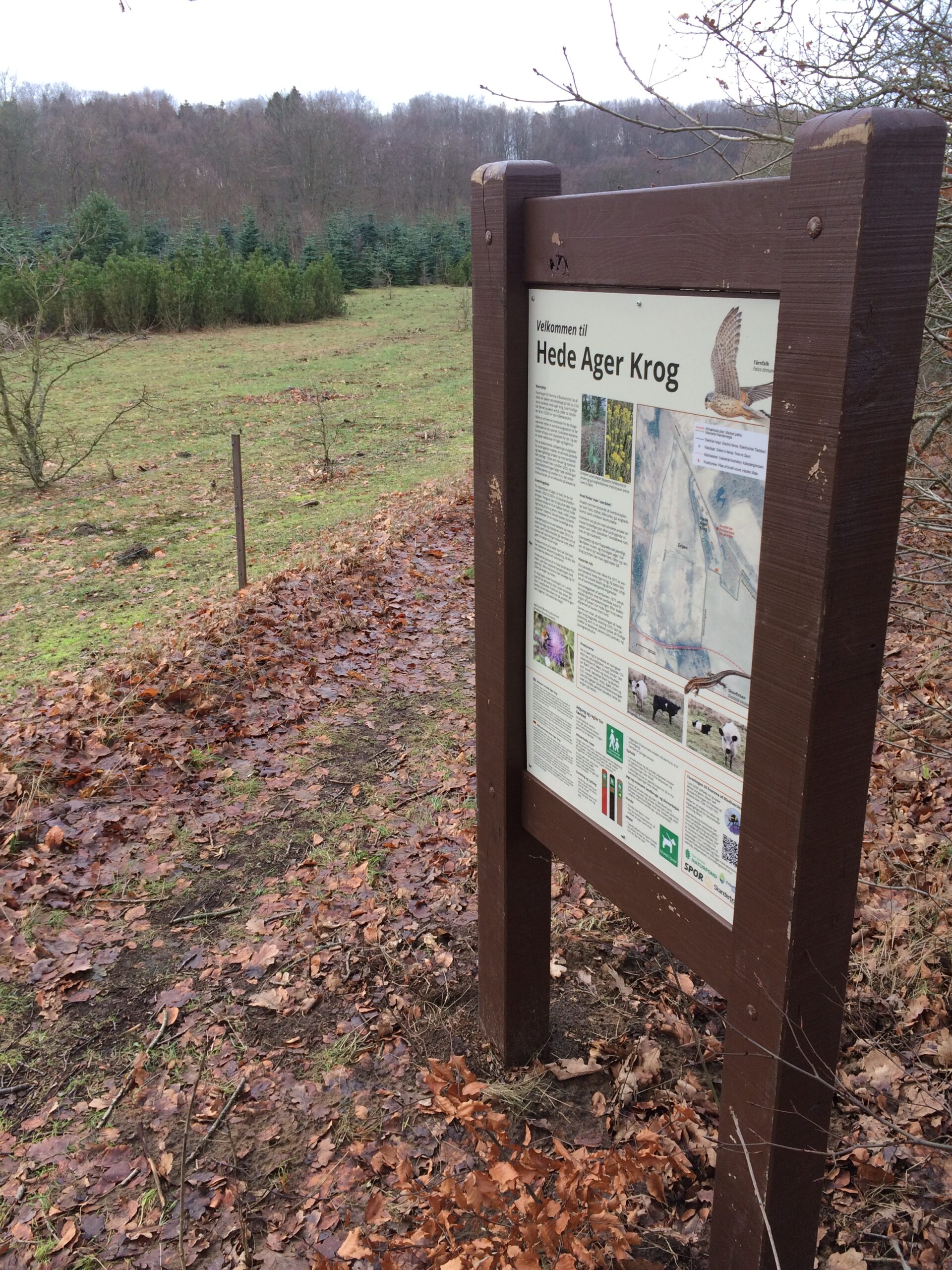 Read more about the article … har du forresten hørt …