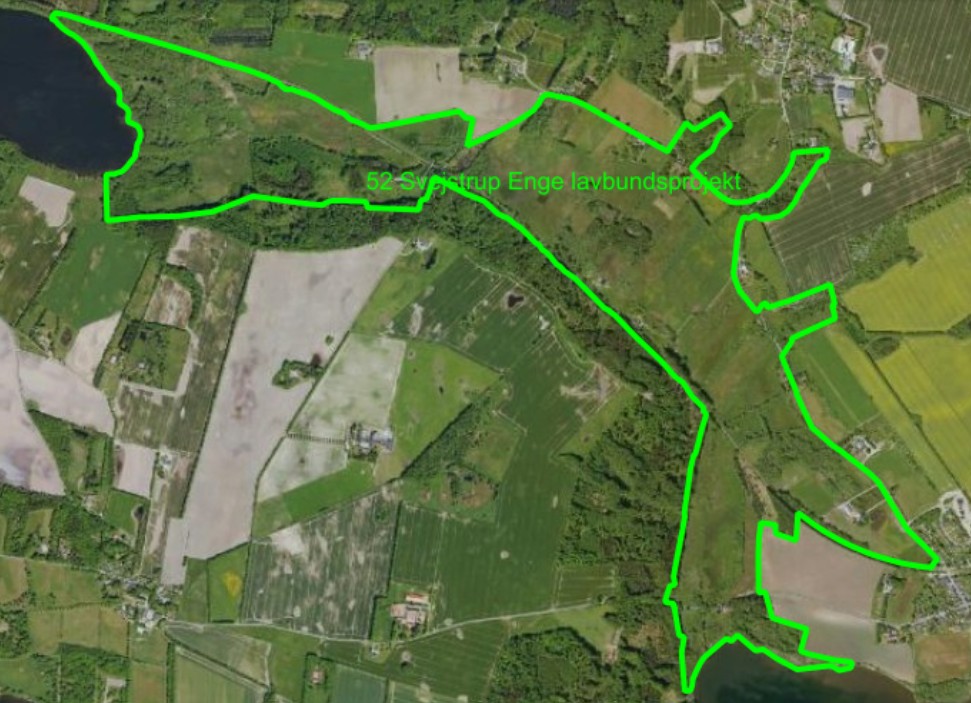 You are currently viewing Svejstrup Enge – udset til grøn omlægning –  kan reducere CO2-udslip og give mere natur