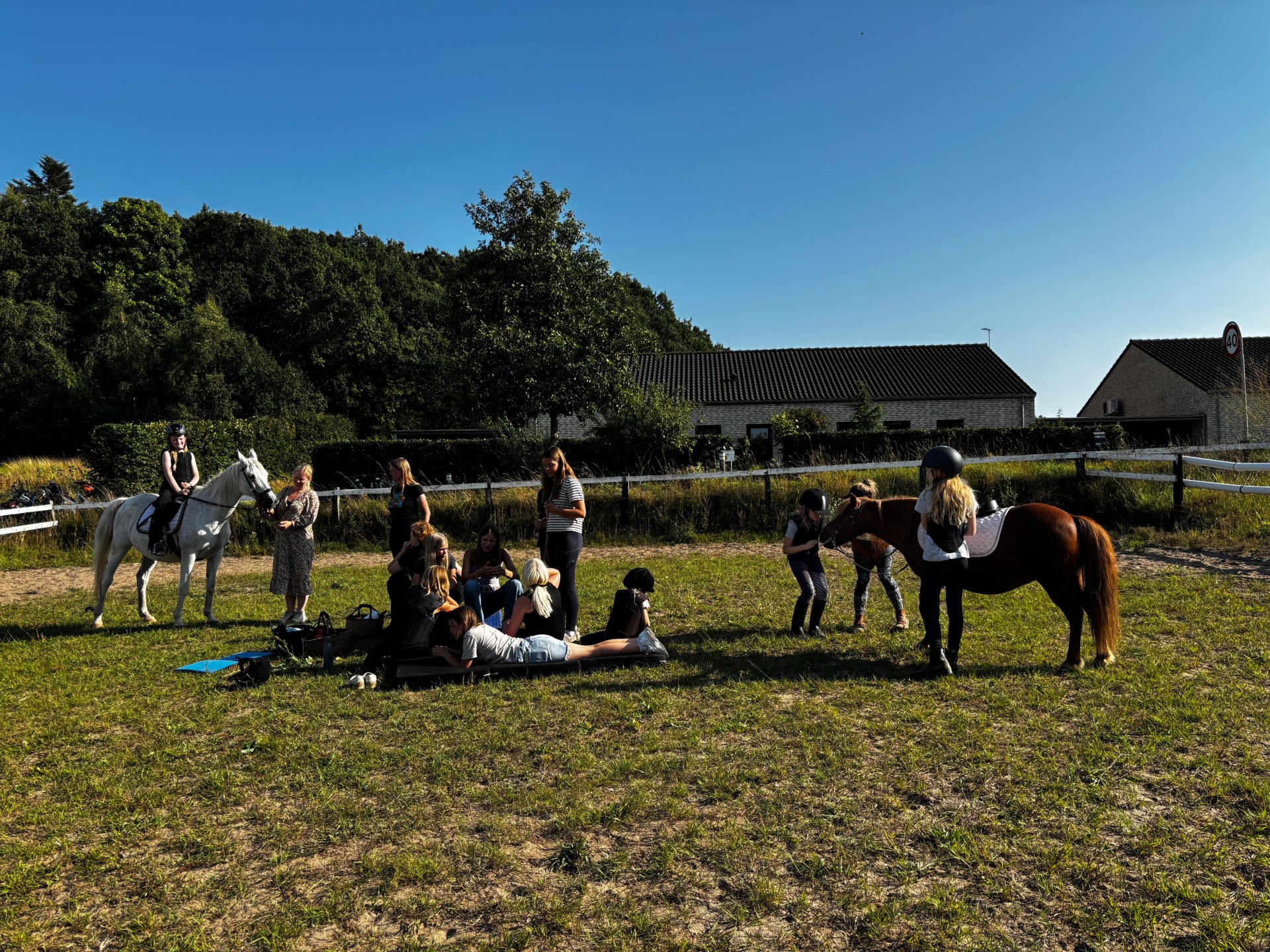 Read more about the article Arbejdsdag på fredag: Ridebanen skal gøres fin