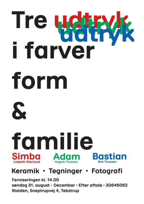 Read more about the article Simba, Adam og Bastian klar til fernisering