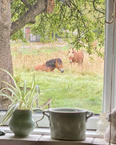 … har du forresten hørt …