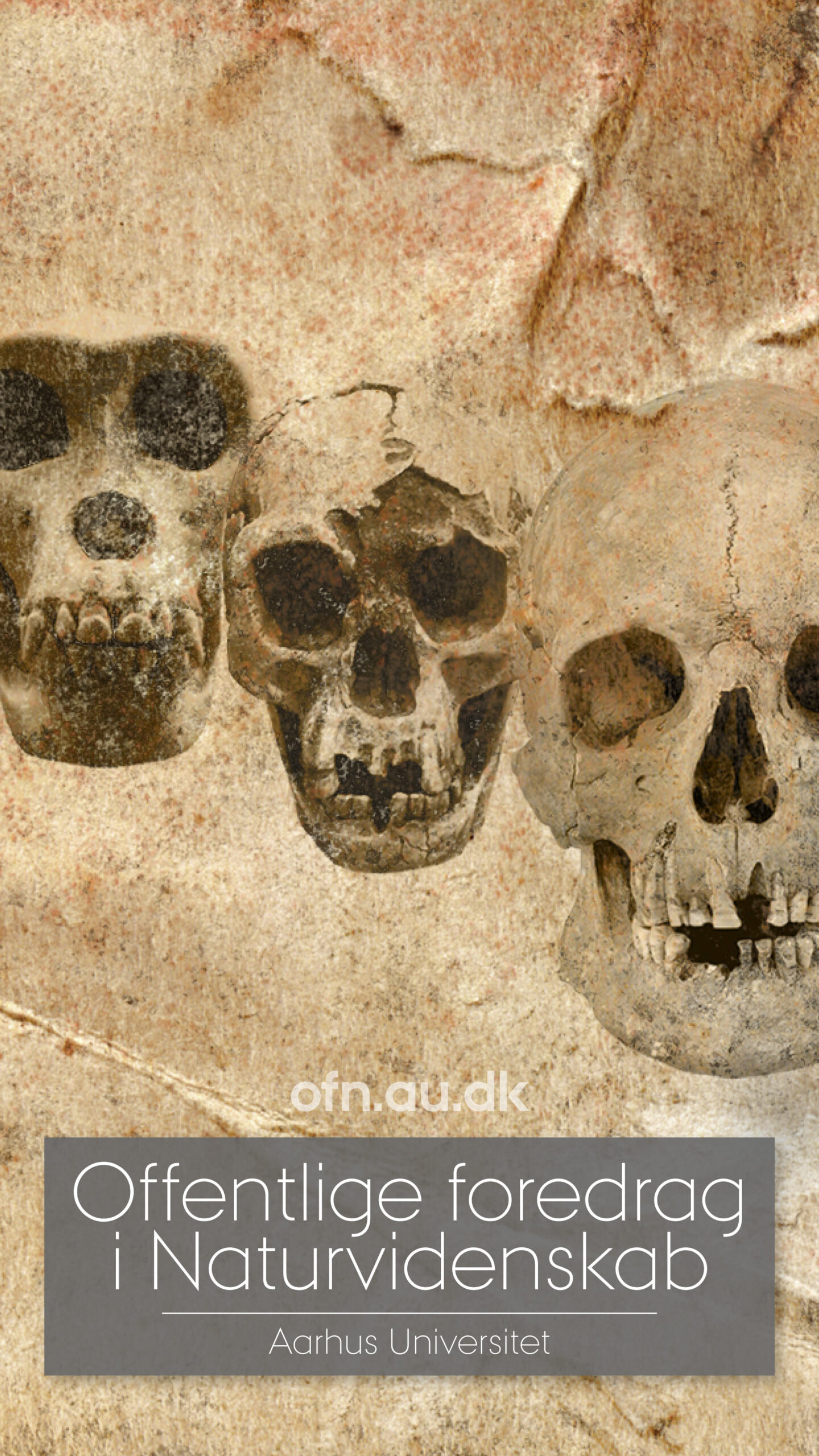 Read more about the article DNA og fossiler udvider vores stamtræ