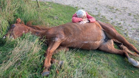 Read more about the article Flicka hjulpet til højere himmelstrøg