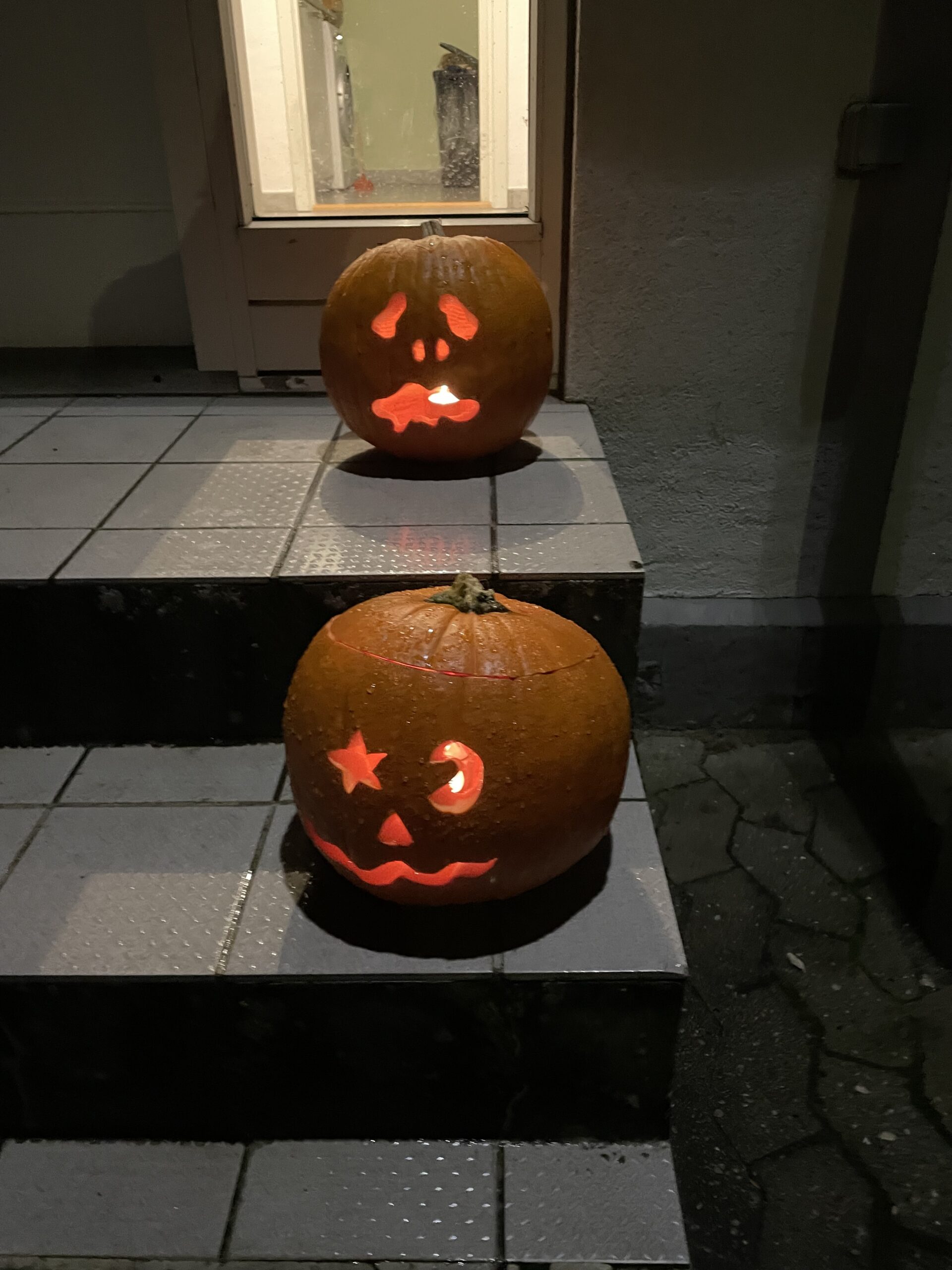 Read more about the article Sæt et græskar eller en lygte frem – og vent og se