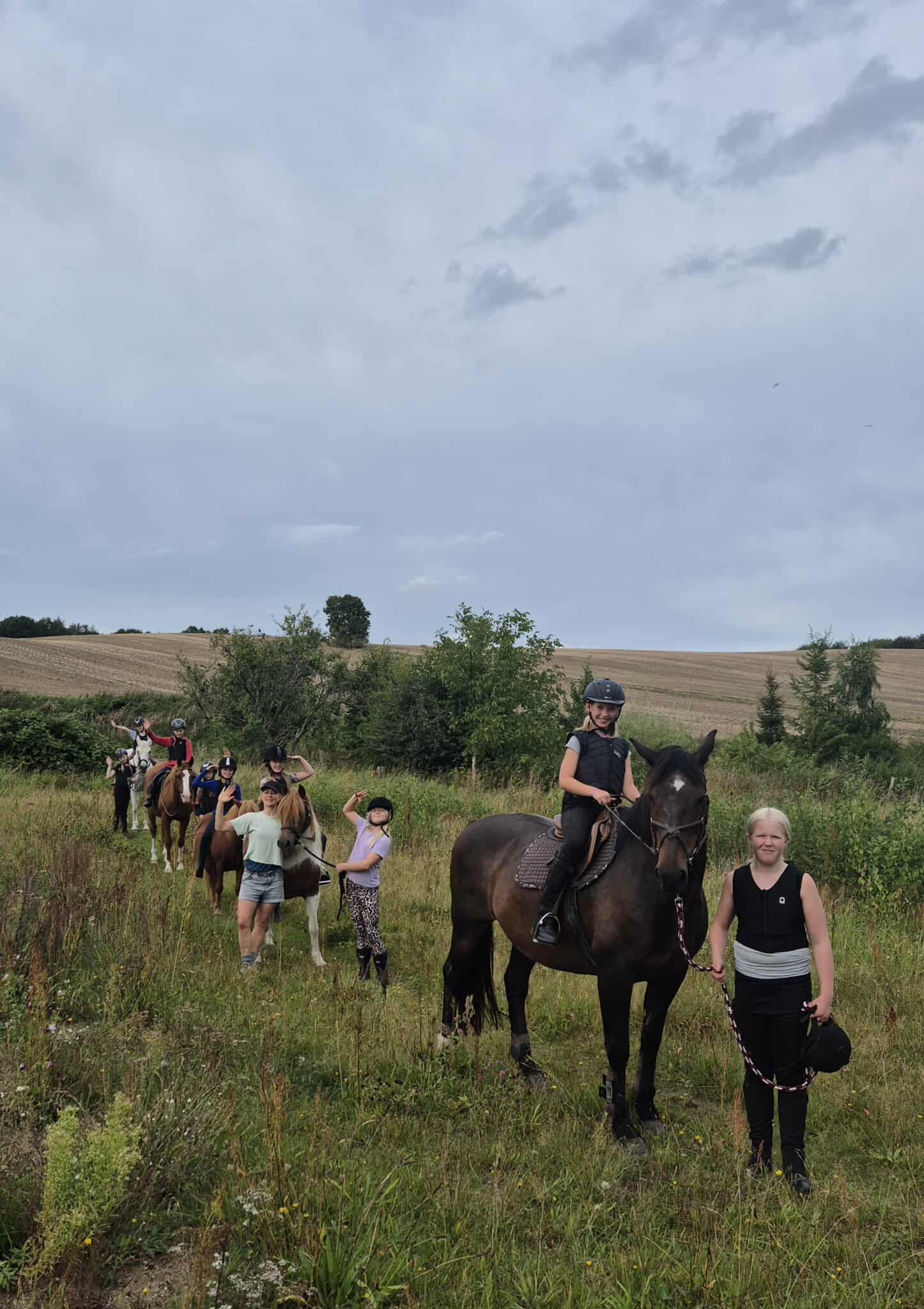 Read more about the article Hesteliv i Landsbyerne – ikke bare ridning