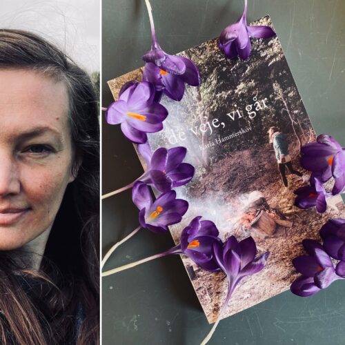 ‘de veje, vi går,’ 