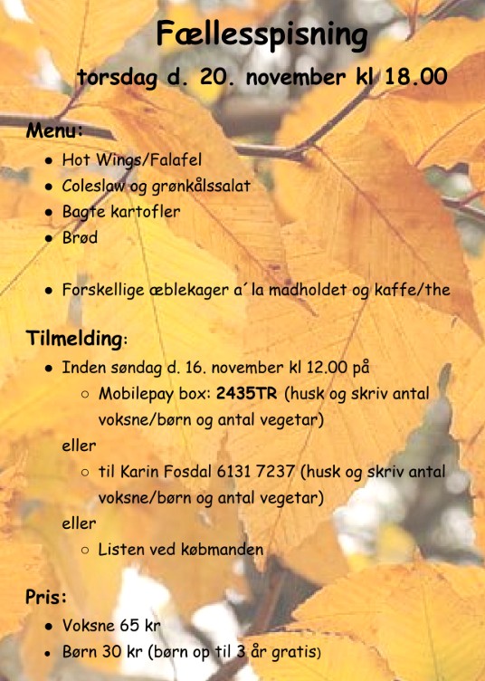 Read more about the article Hot wings og falafel til fællesspisning