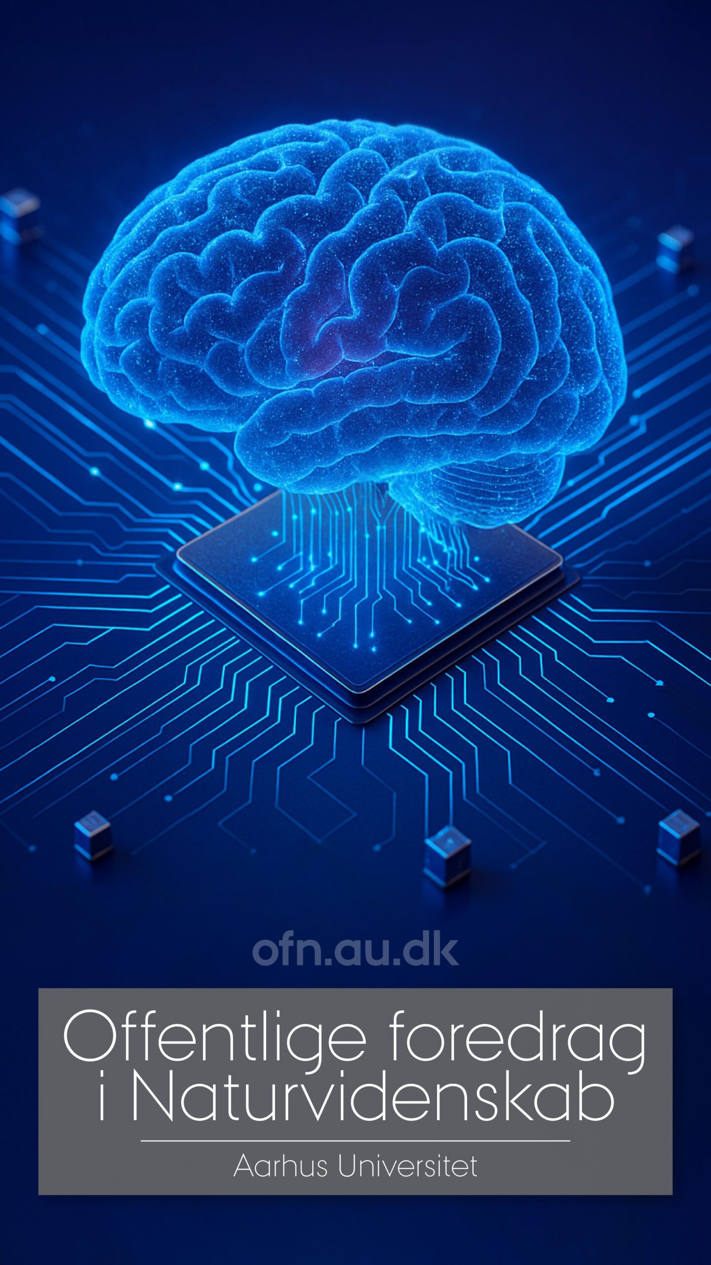 Read more about the article Kunstig intelligens: fra IT til samfund