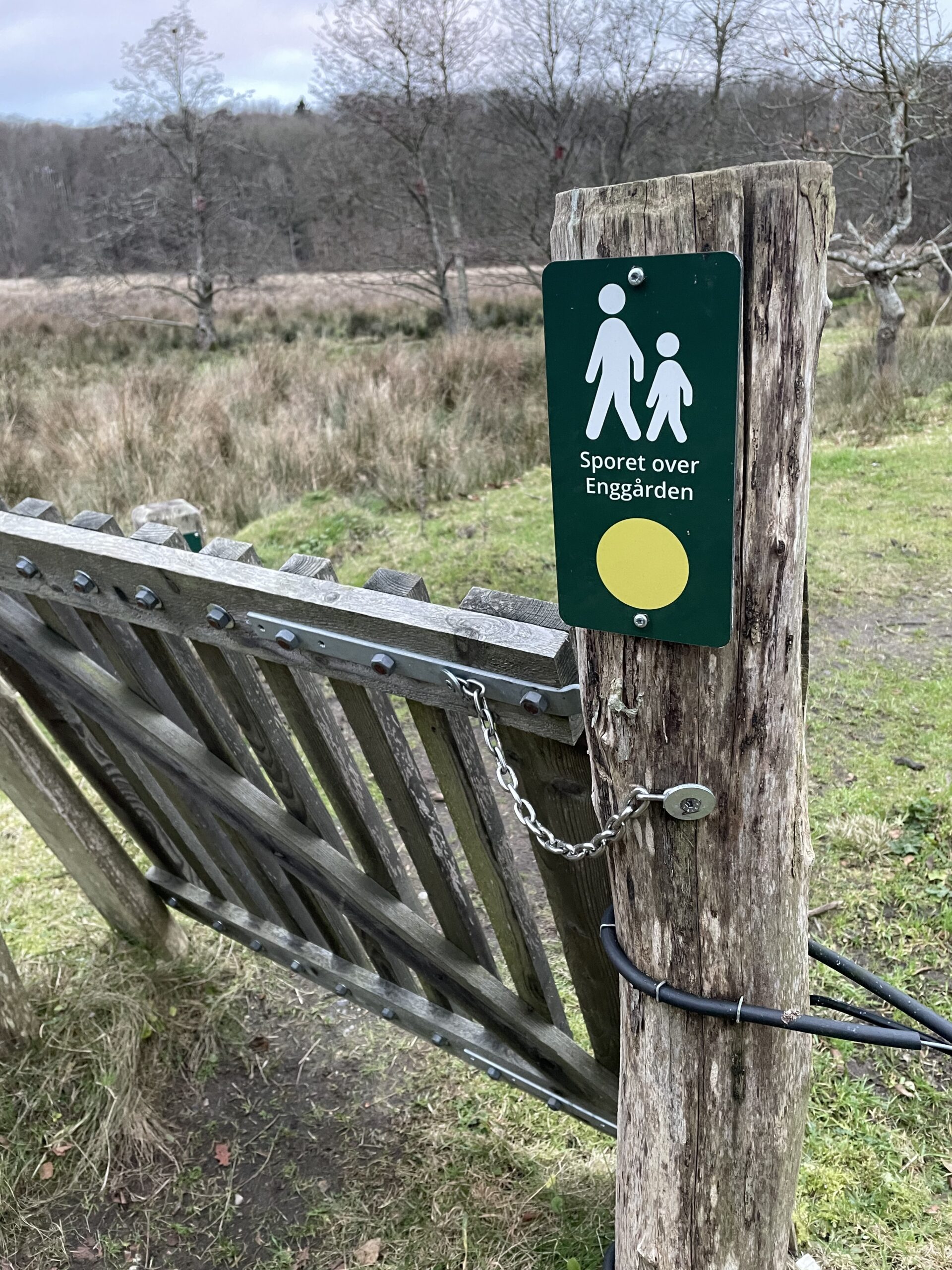 You are currently viewing … har du forresten hørt …