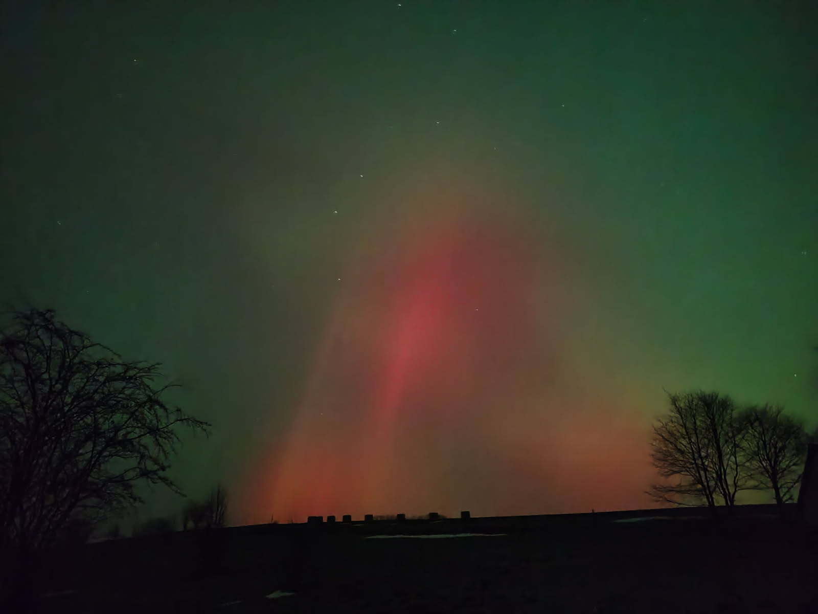 Read more about the article … har du forresten hørt …