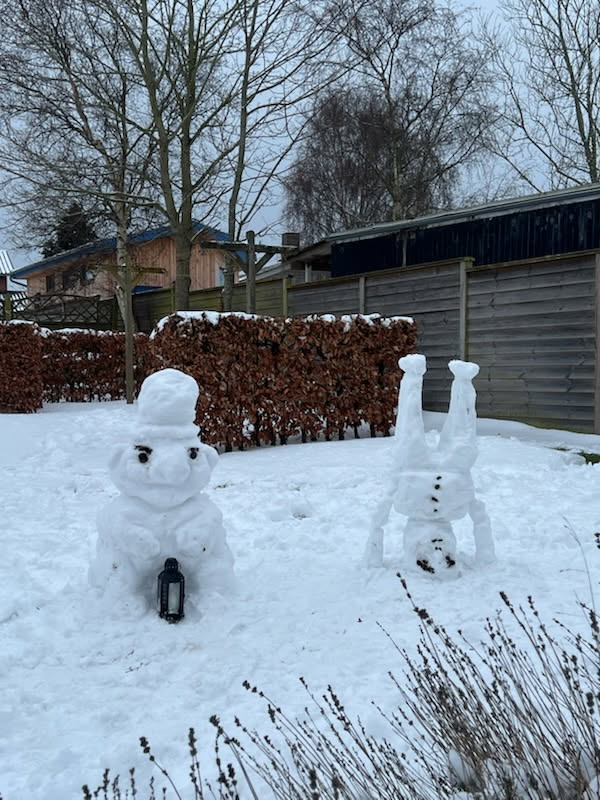 Read more about the article … har du forresten hørt …