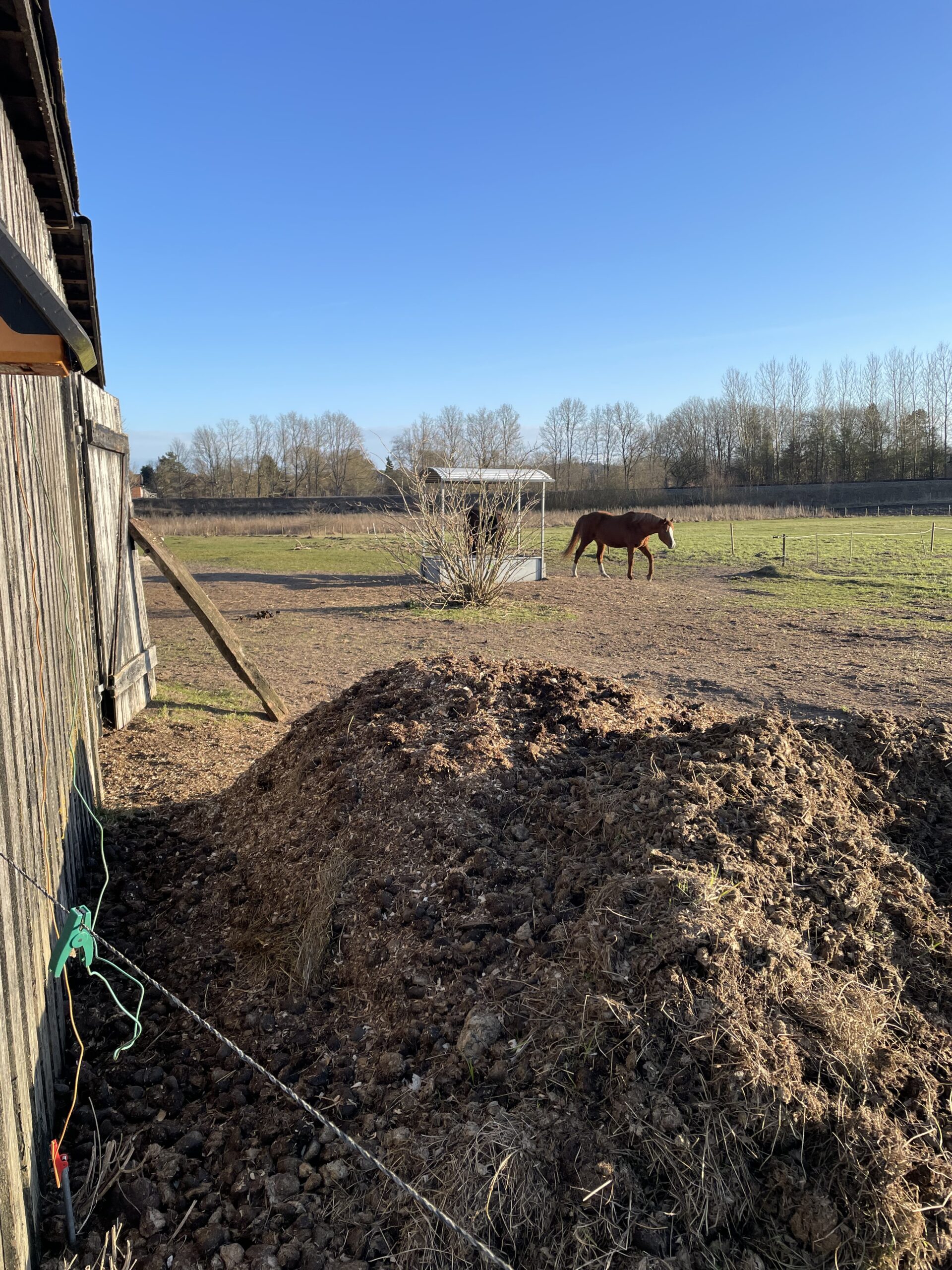Read more about the article Hent hestemøg – og ryd op på muddermåtten