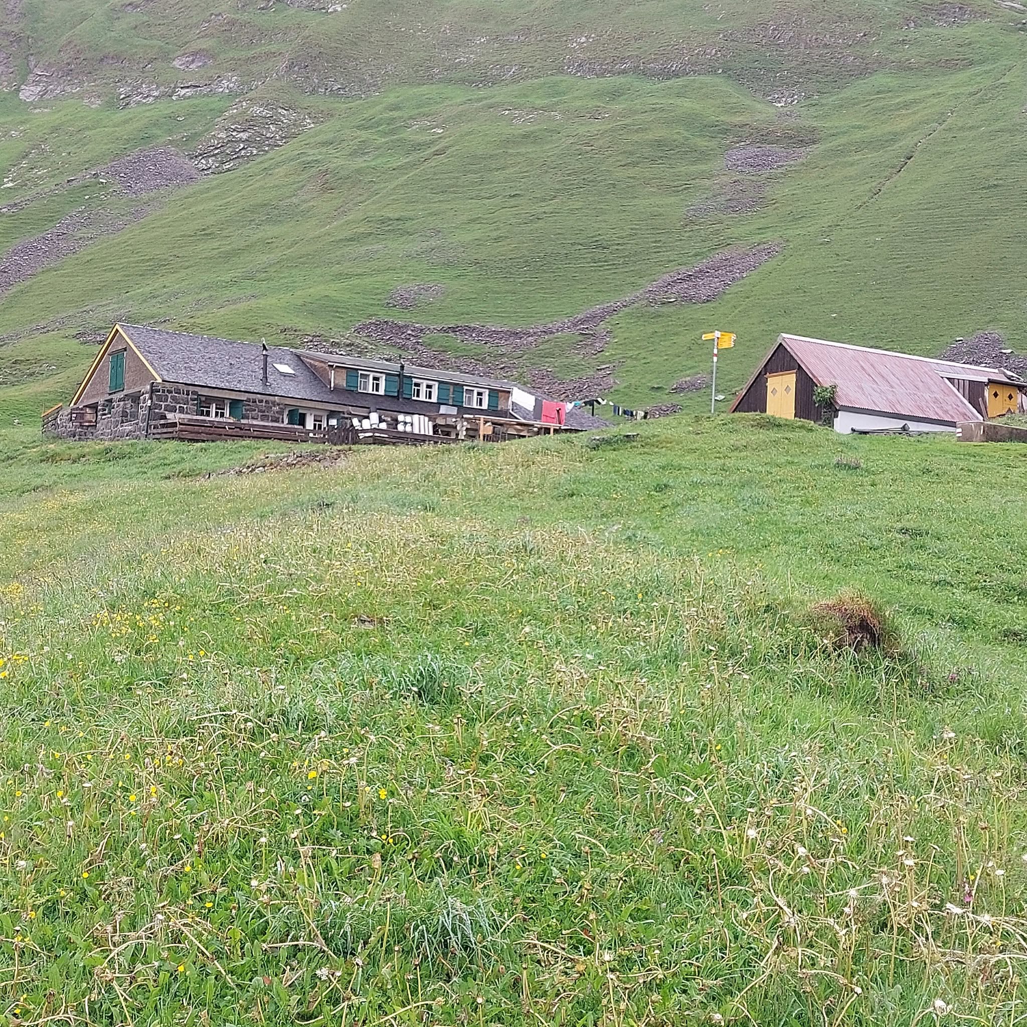 You are currently viewing Vagn fortæller om sit ophold på Altenalp