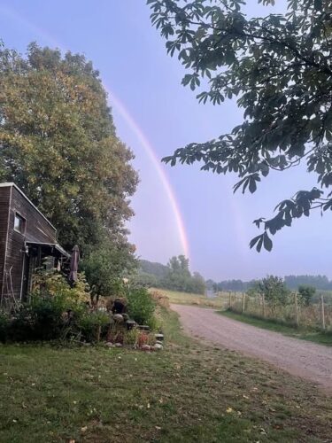 … har du forresten hørt … og set …