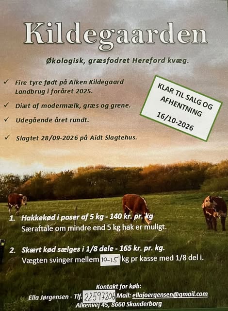 You are currently viewing Kildegårds-kød snart klar til salg