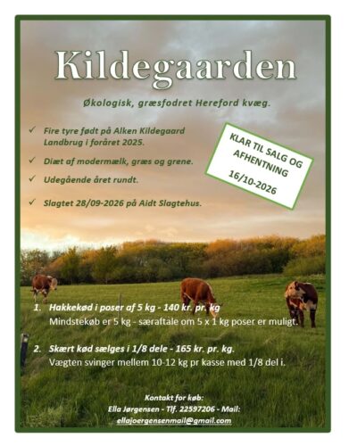 Kildegaards-kød til salg – nu med rigtig mailadresse